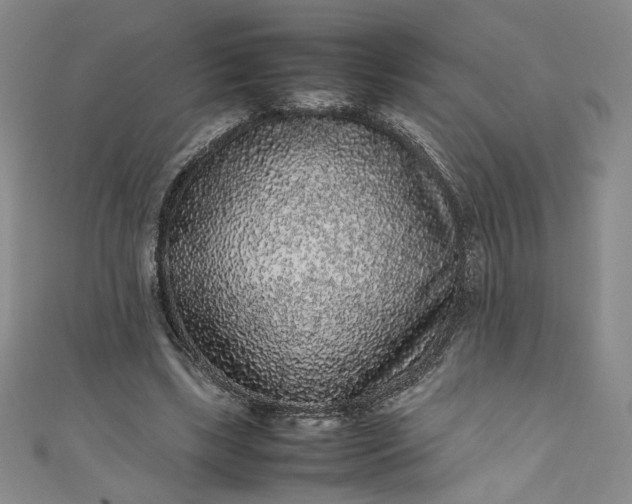 X0000111470443200907271315