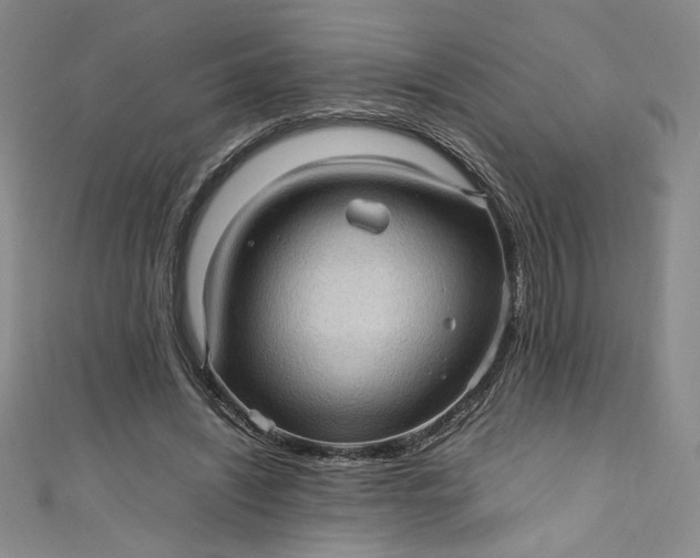 X0000111470444200907271315