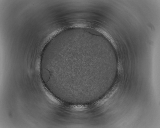 X0000111470445200907271315