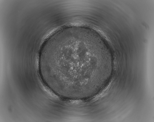 X0000111470446200907271315