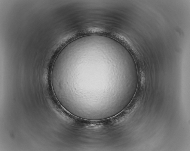 X0000111470447200907271315