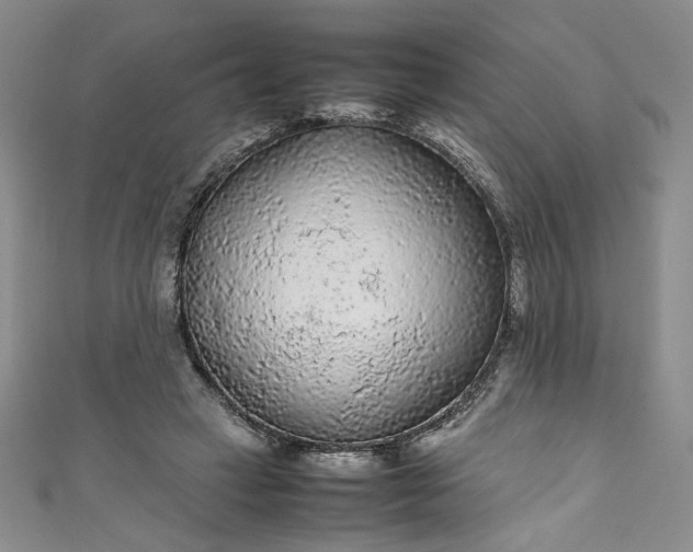 X0000111470449200907271315