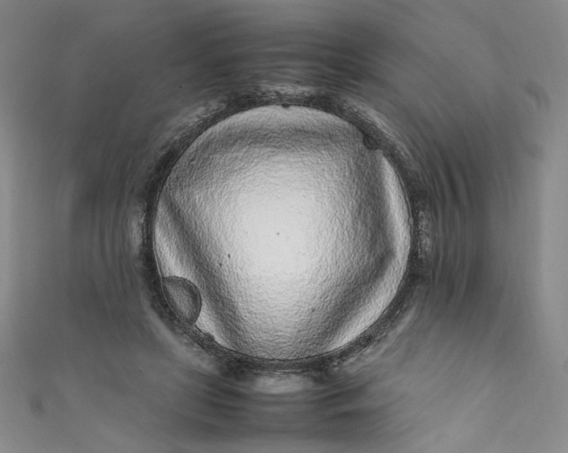 X0000111470451200907271315