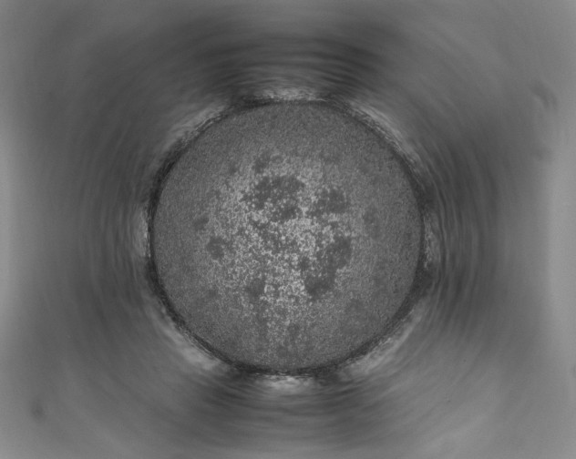 X0000111470453200907271315