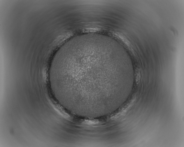 X0000111470455200907271315