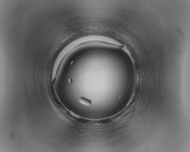 X0000111470456200907271315