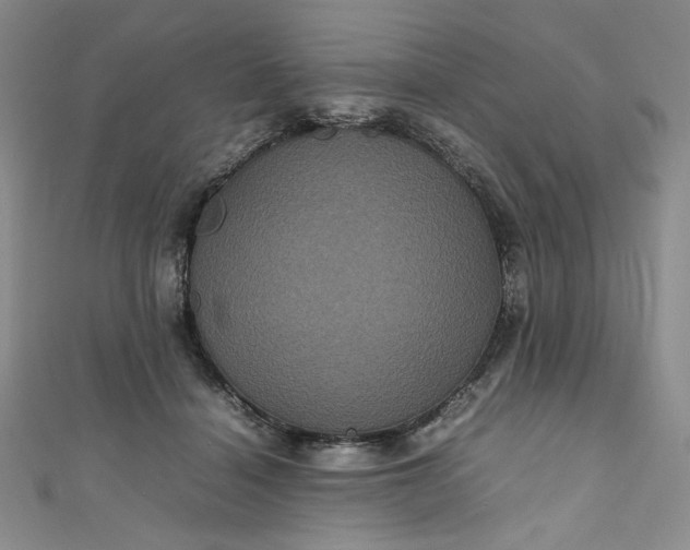 X0000111470460200907271315