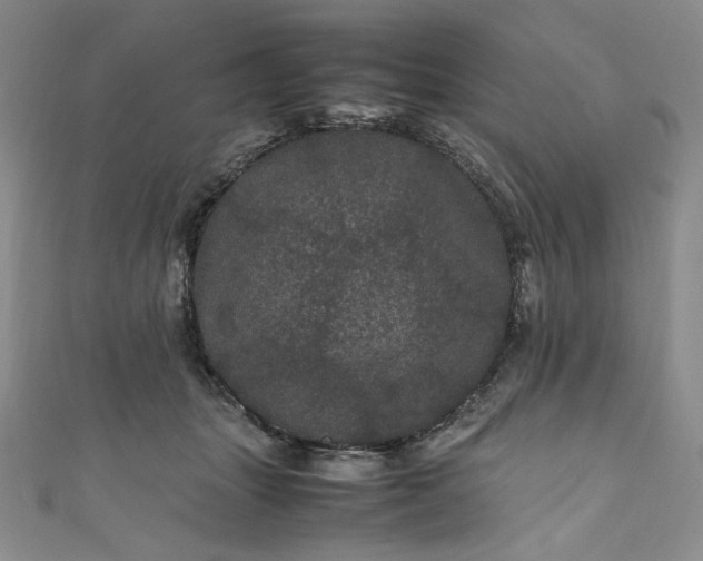 X0000111470463200907271315