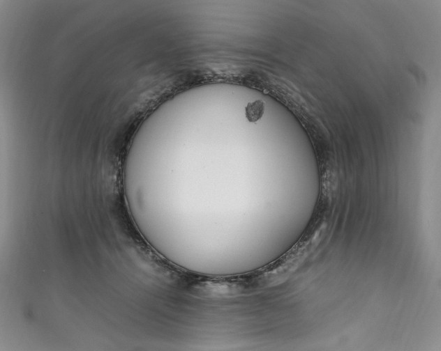 X0000111470464200907271315