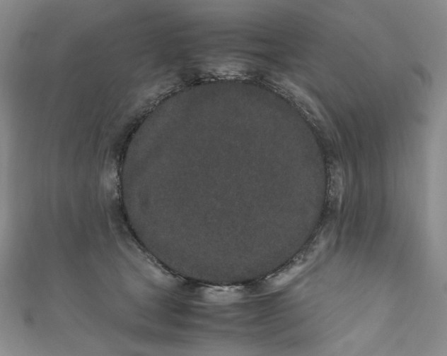 X0000111470465200907271315