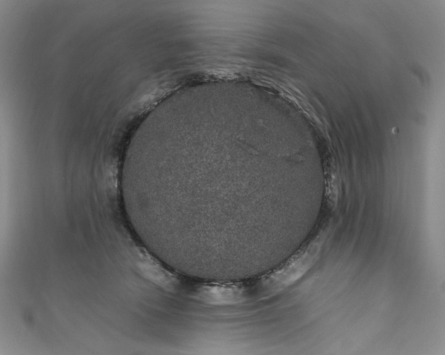 X0000111470466200907271315