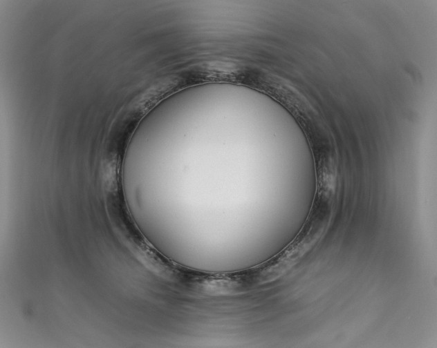 X0000111470468200907271315