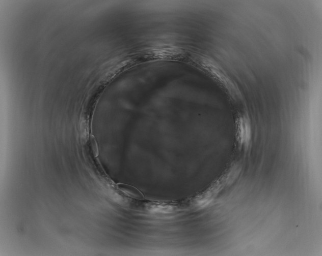 X0000111470471200907271315