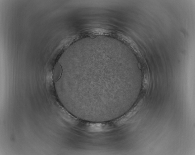 X0000111470473200907271315