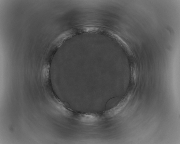 X0000111470475200907271315