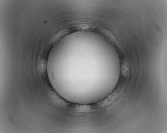 X0000111470476200907271315