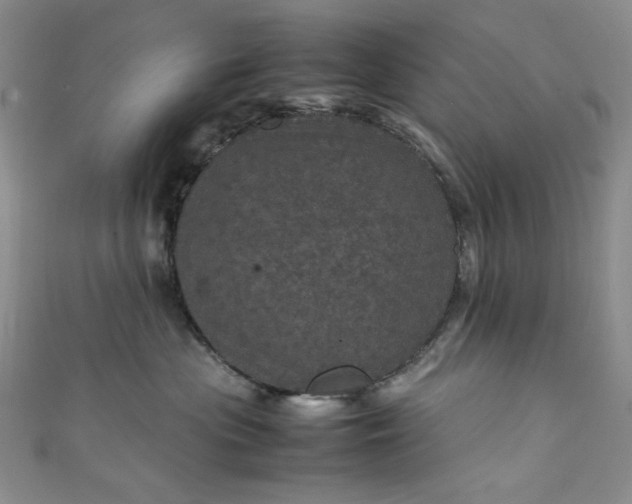 X0000111470477200907271315