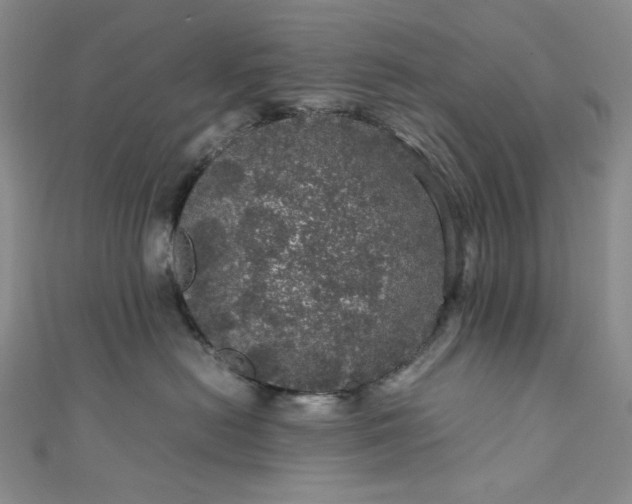 X0000111470478200907271315