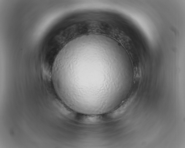 X0000111470479200907271315