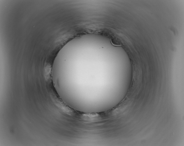 X0000111470480200907271316