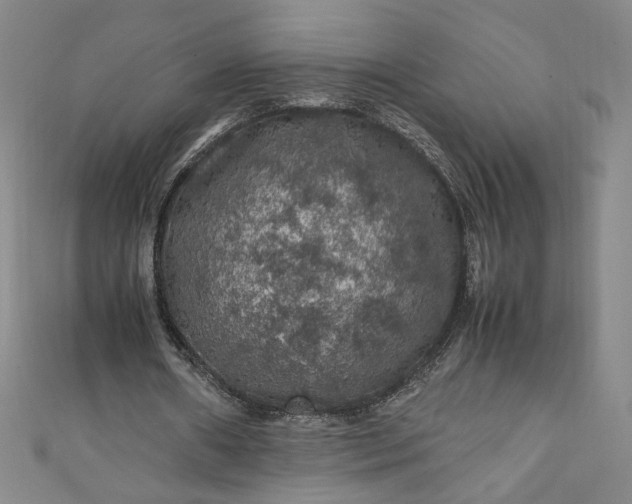 X0000111470482200907271315