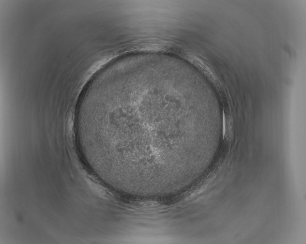 X0000111470483200907271315