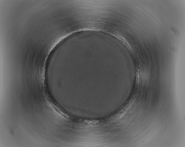 X0000111470484200907271315