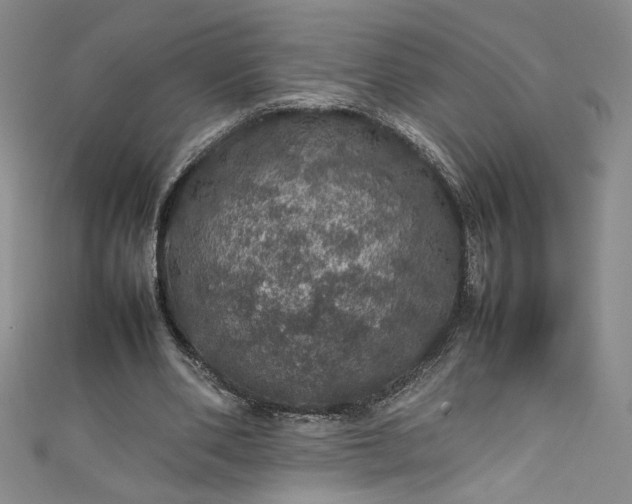 X0000111470486200907271315