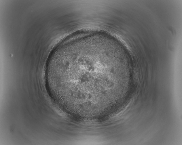 X0000111470487200907271315