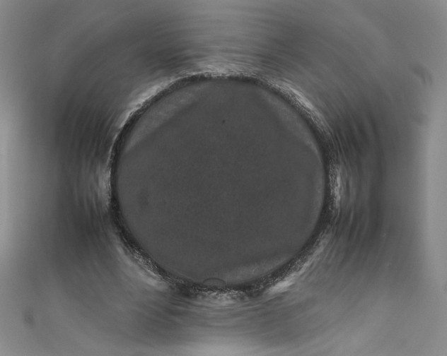 X0000111470488200907271315