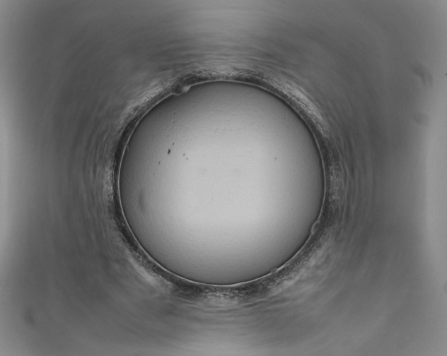 X0000111470489200907271315