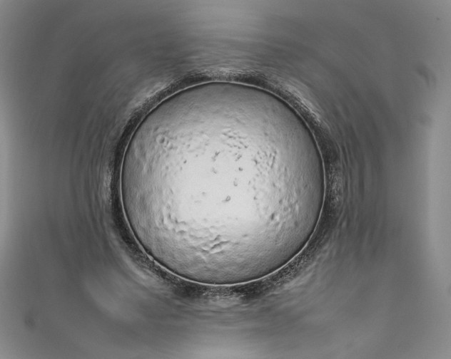 X0000111470491200907271315