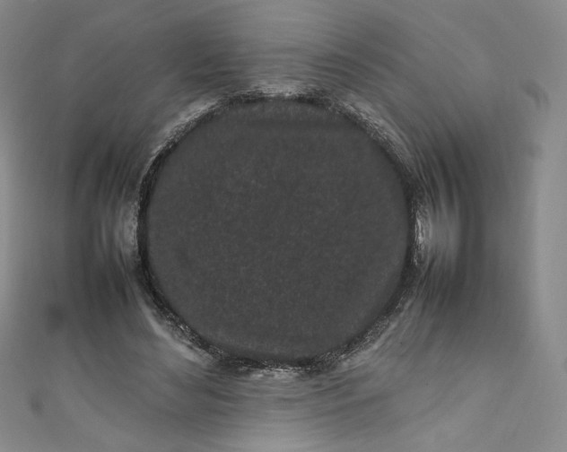 X0000111470492200907271315