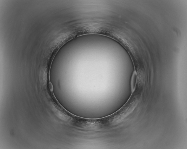 X0000111470493200907271315