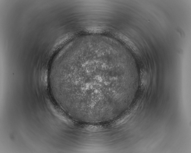 X0000111470494200907271315