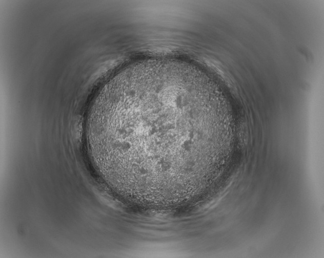 X0000111470495200907271315