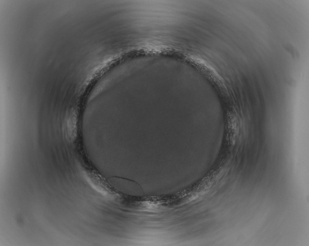 X0000111470496200907271315