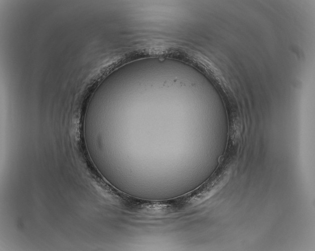 X0000111470497200907271315