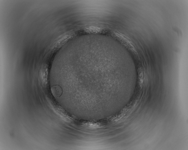 X0000111470498200907271315