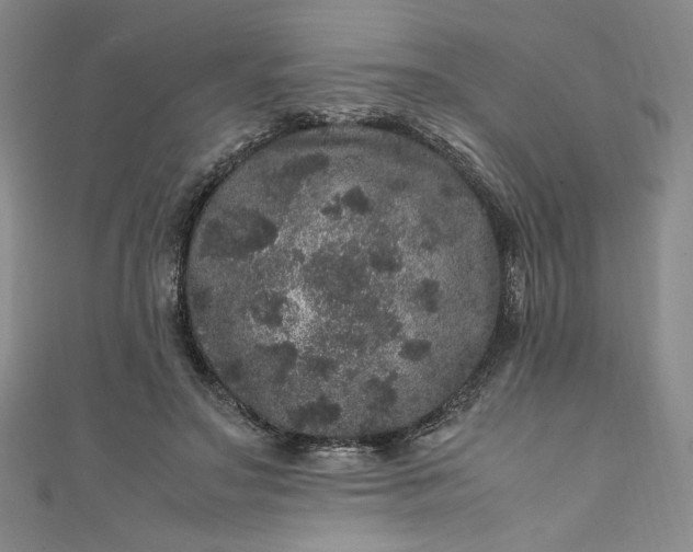 X0000111470499200907271315