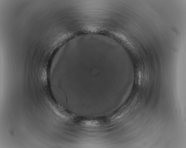 X0000111470500200907271315