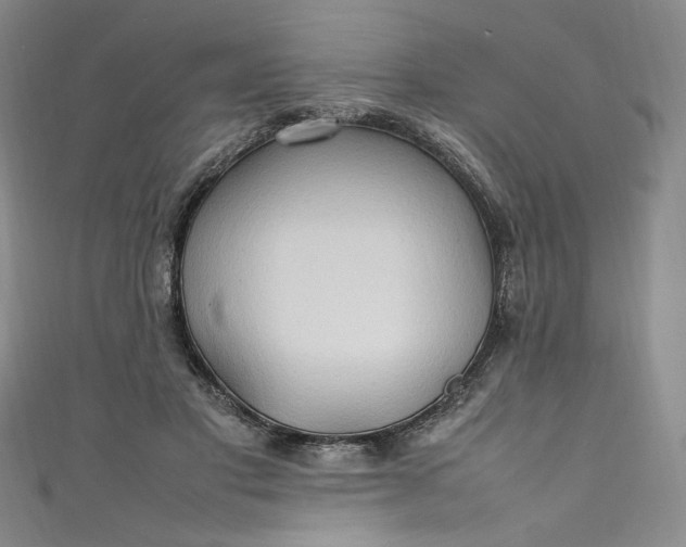 X0000111470501200907271315