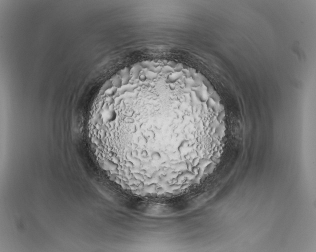 X0000111470507200907271315