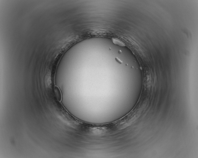 X0000111470508200907271315