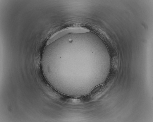 X0000111470509200907271315