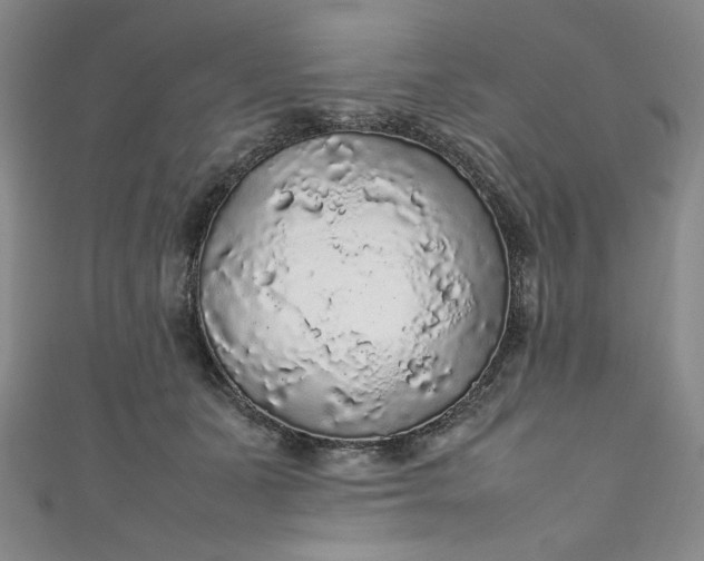 X0000111470511200907271315