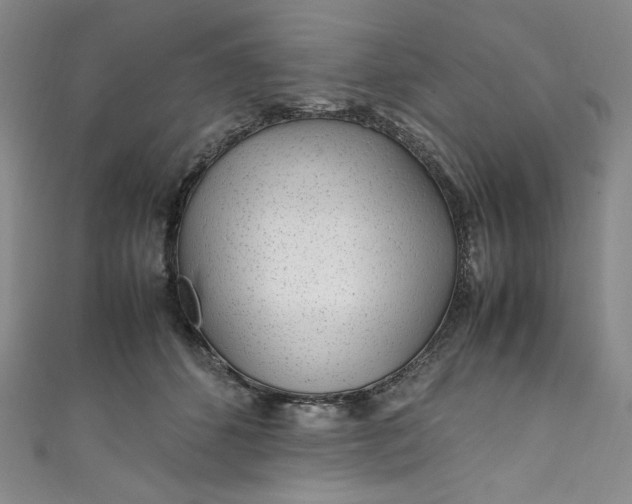 X0000111470512200907271314