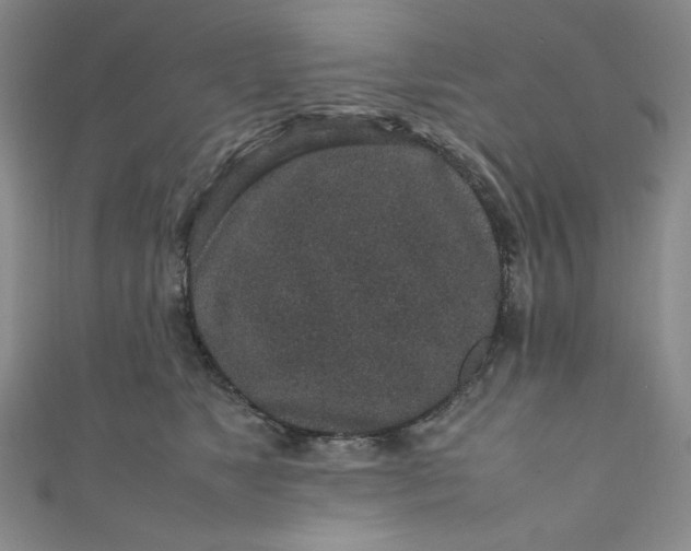 X0000111470517200907271314