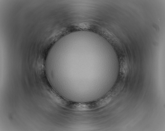 X0000111470518200907271314