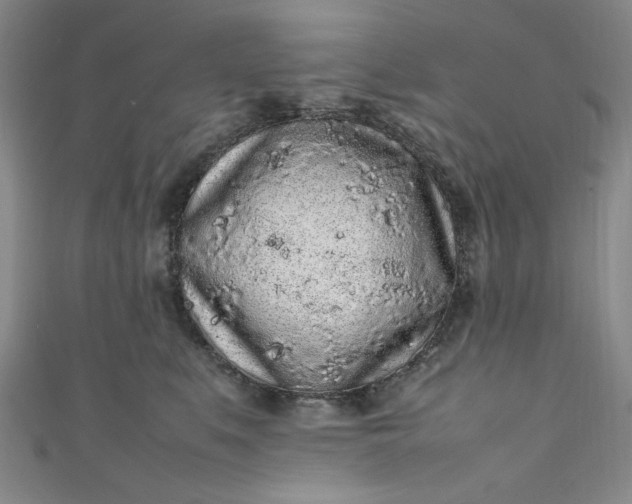 X0000111470519200907271314